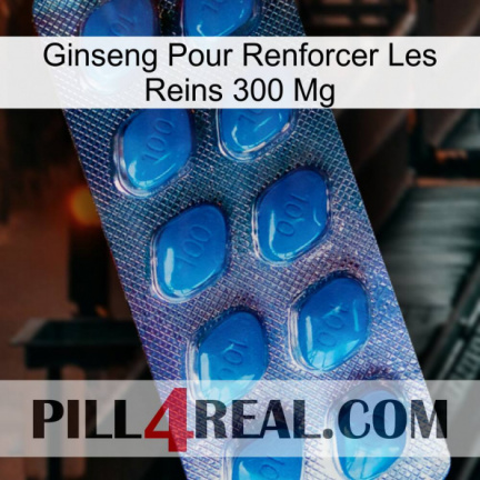 Ginseng For Reinforcing Kidney 300 Mg viagra1